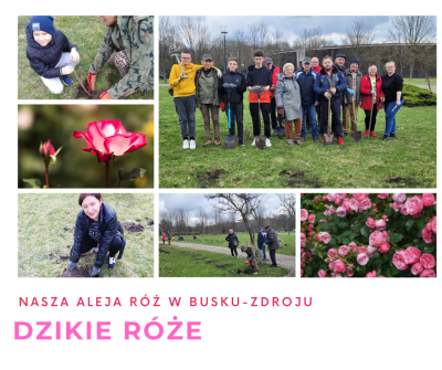 Dzikie Róże ...