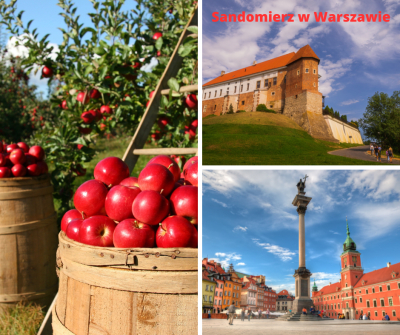 8 TARG SANDOMIERSKI I PRZYJACIELE